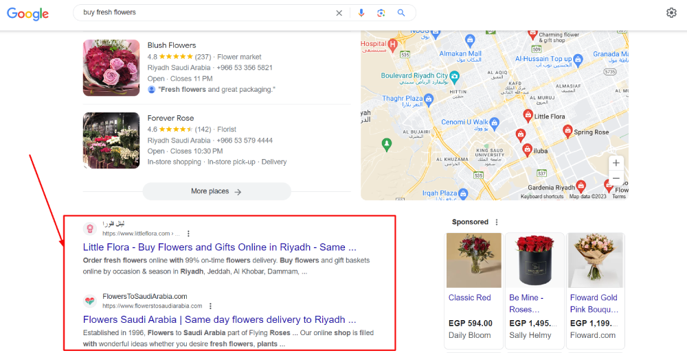 eCommerce SEO Example